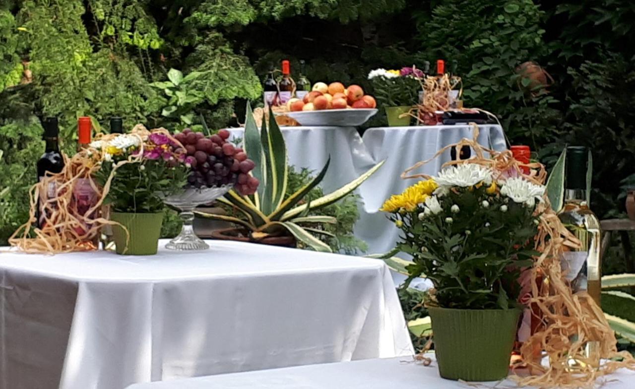 Fonagy Es Walter Vendeg- Es Borhaz Bed and Breakfast Vác Eksteriør billede