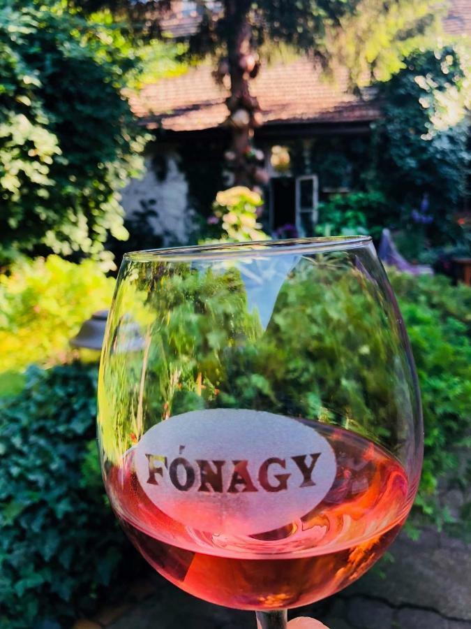 Fonagy Es Walter Vendeg- Es Borhaz Bed and Breakfast Vác Værelse billede